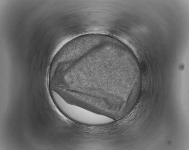 X0000097901383200804111033