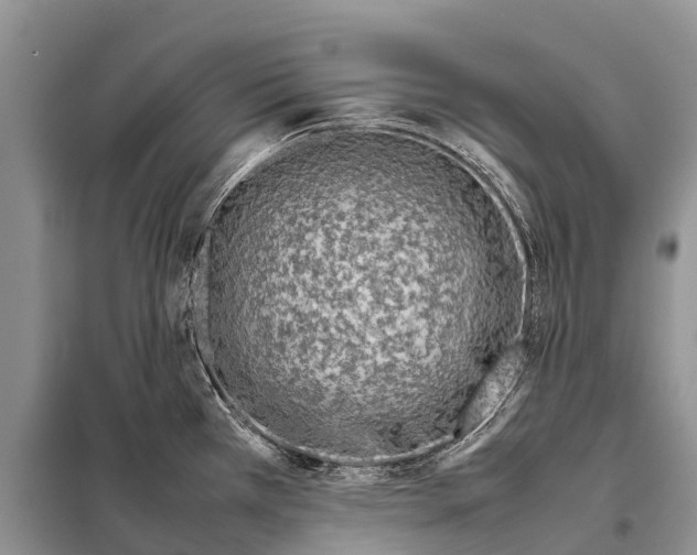 X0000097901385200804111033