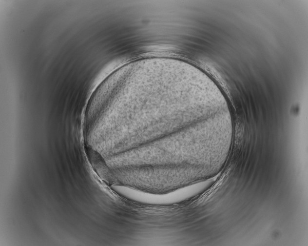 X0000097901386200804111033