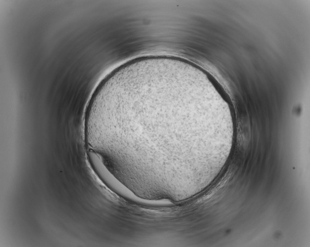 X0000097901388200804111033