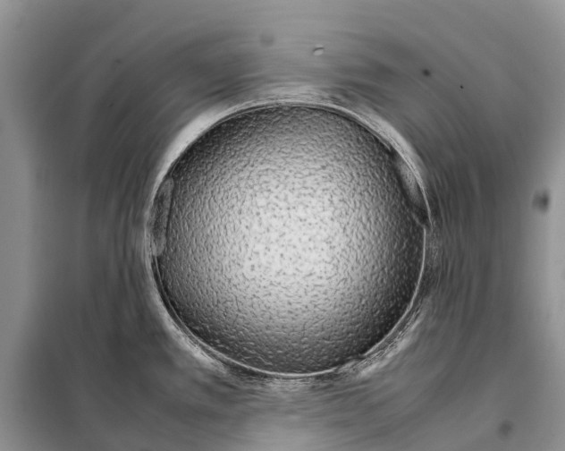 X0000097901389200804111033