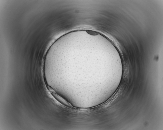 X0000097901390200804111033