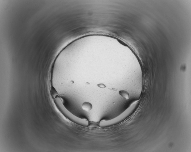 X0000097901391200804111033