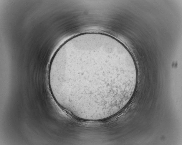 X0000097901392200804111033