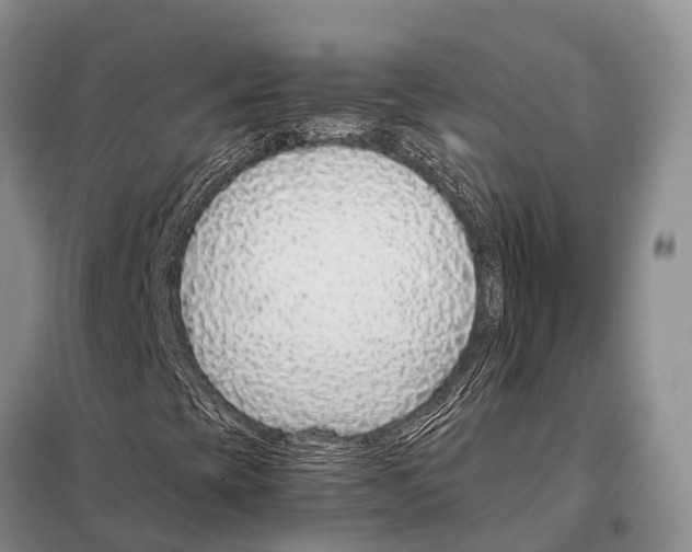 X0000097901393200804111032