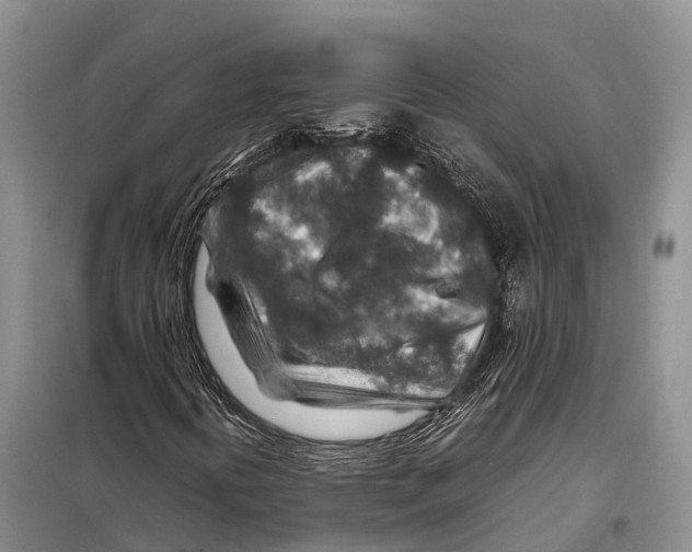 X0000097901394200804111032