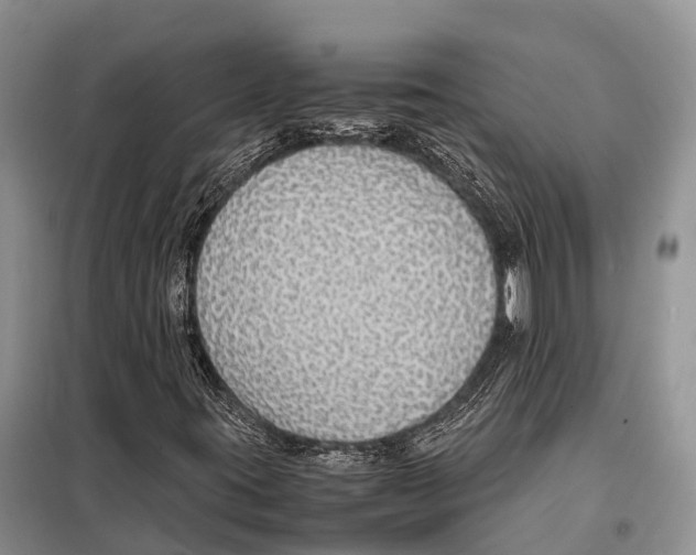 X0000097901395200804111032