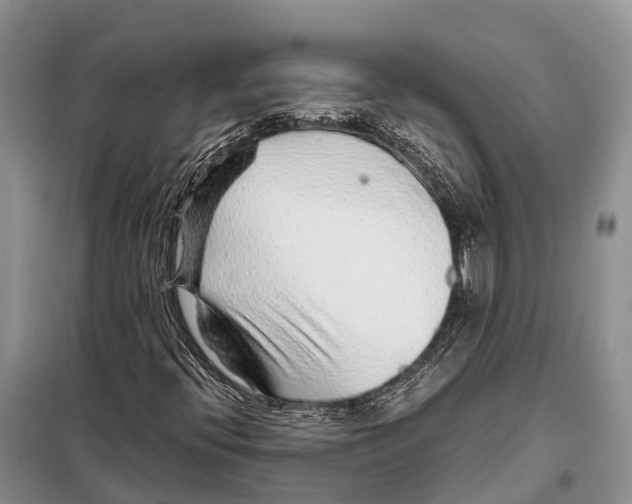 X0000097901396200804111032