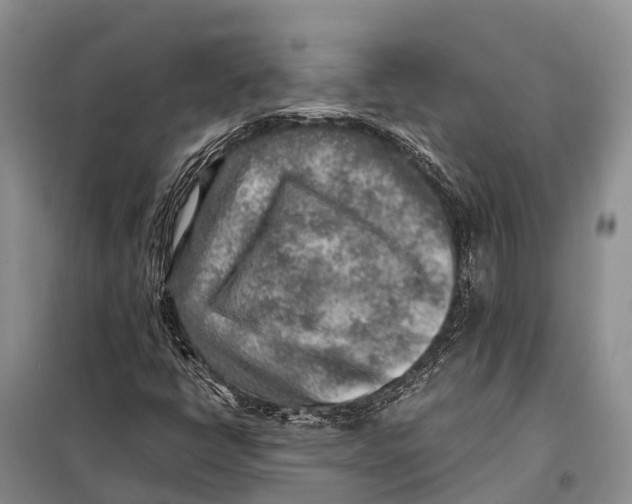 X0000097901398200804111032