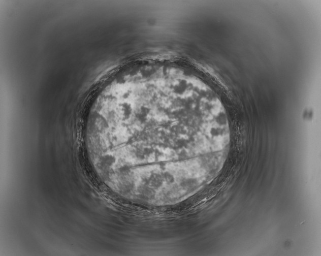 X0000097901399200804111032