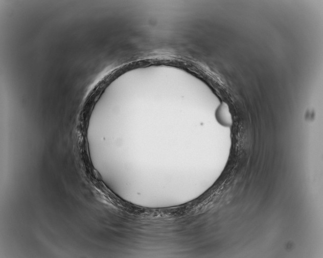 X0000097901400200804111032