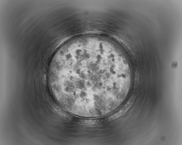 X0000097901401200804111032