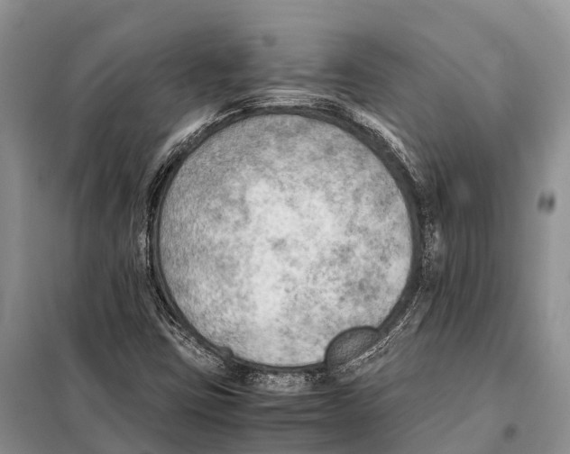 X0000097901403200804111032