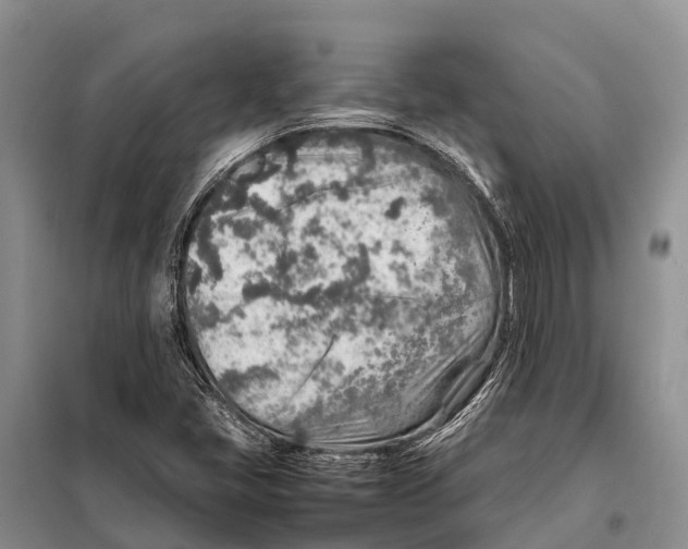 X0000097901405200804111032