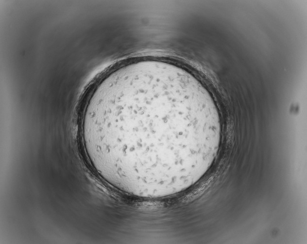 X0000097901406200804111032