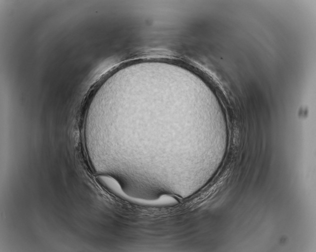 X0000097901407200804111032