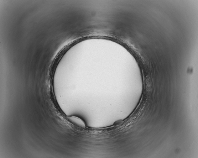 X0000097901408200804111032