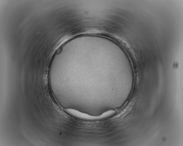 X0000097901409200804111032