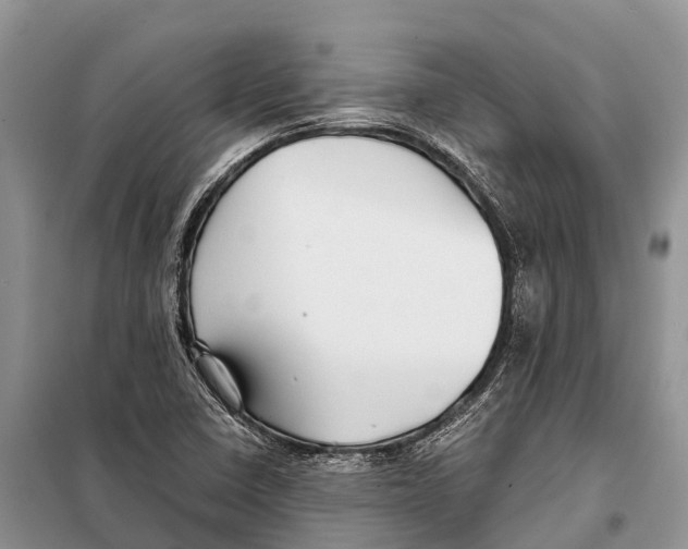 X0000097901410200804111032