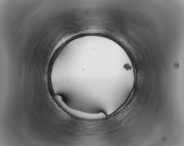 X0000097901412200804111032