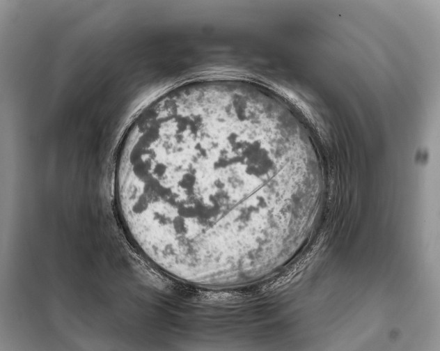 X0000097901413200804111032