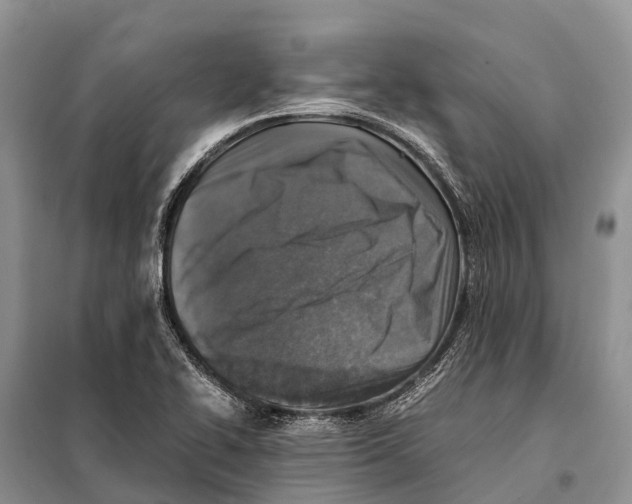 X0000097901414200804111032