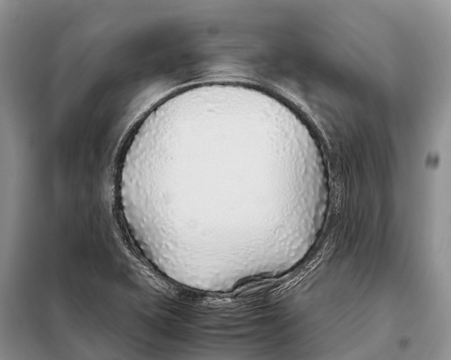 X0000097901415200804111032