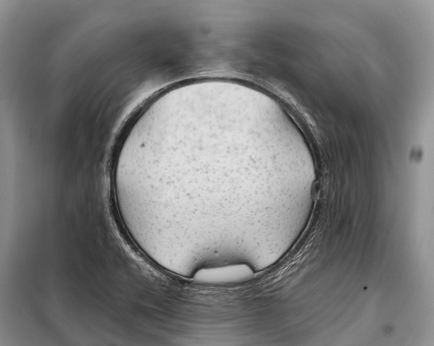 X0000097901416200804111032