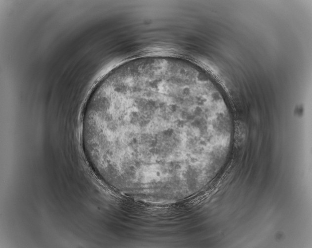 X0000097901419200804111032