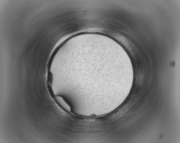 X0000097901420200804111032