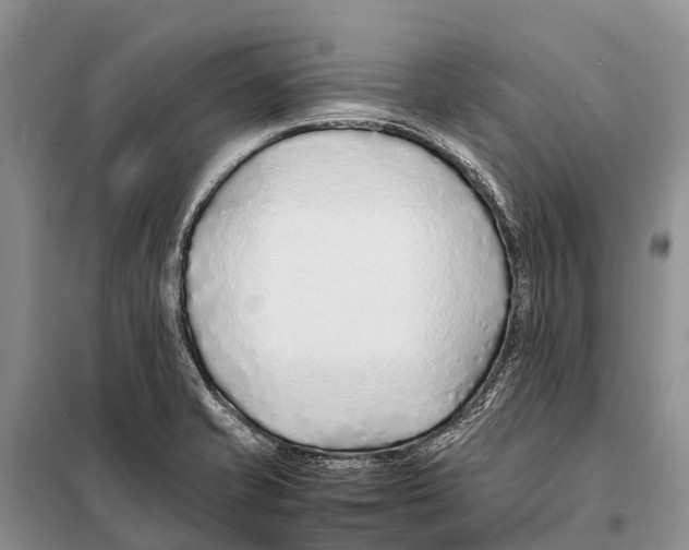 X0000097901421200804111032