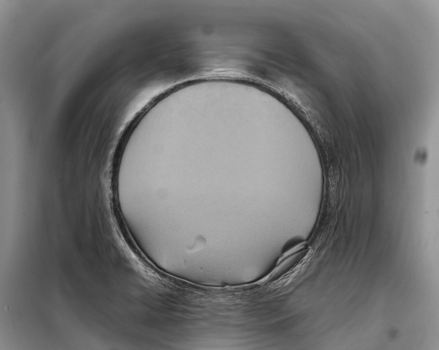 X0000097901422200804111032