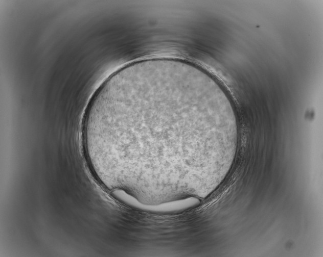 X0000097901423200804111032