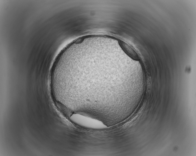 X0000097901424200804111032