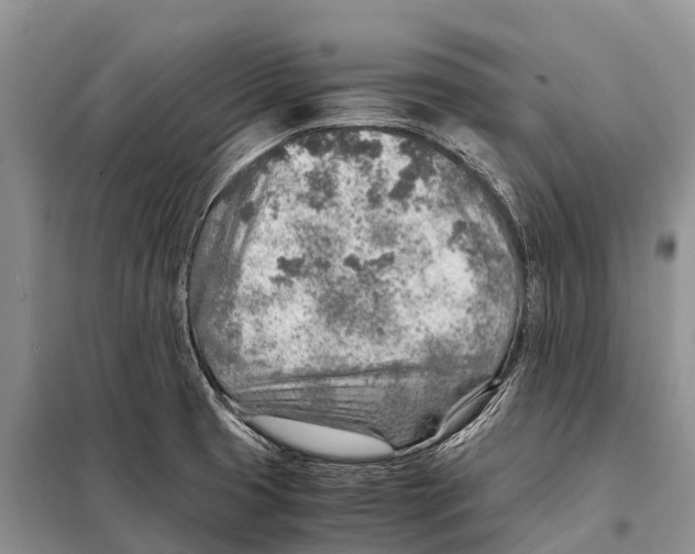 X0000097901425200804111032