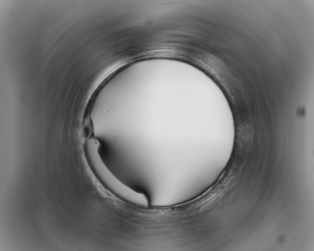 X0000097901426200804111033