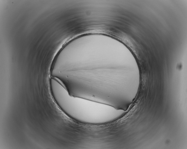 X0000097901428200804111033