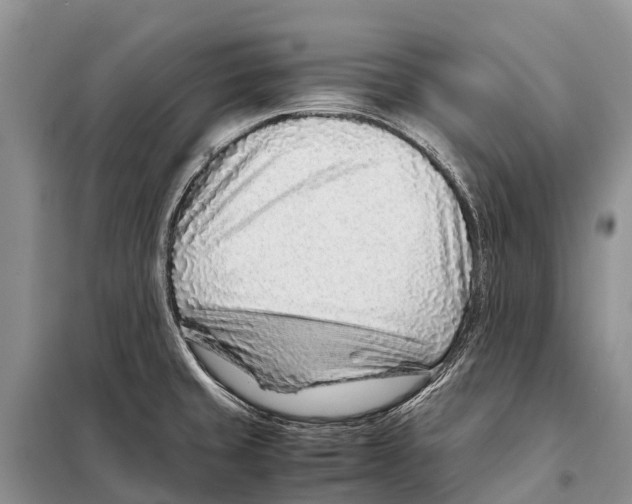 X0000097901429200804111033