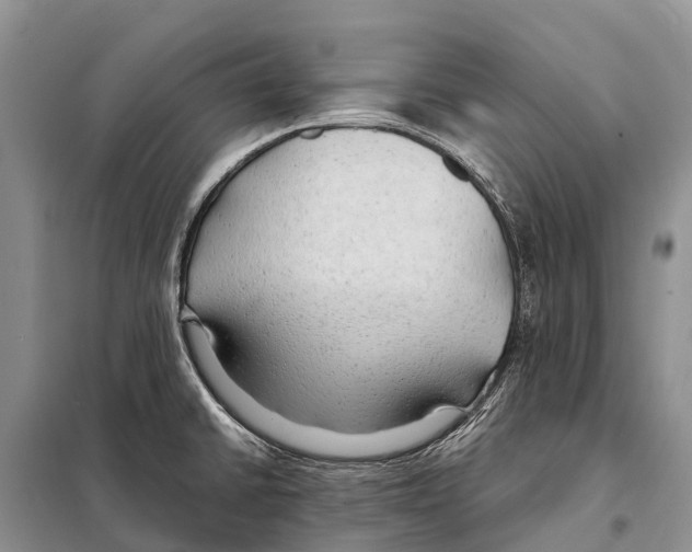 X0000097901430200804111033