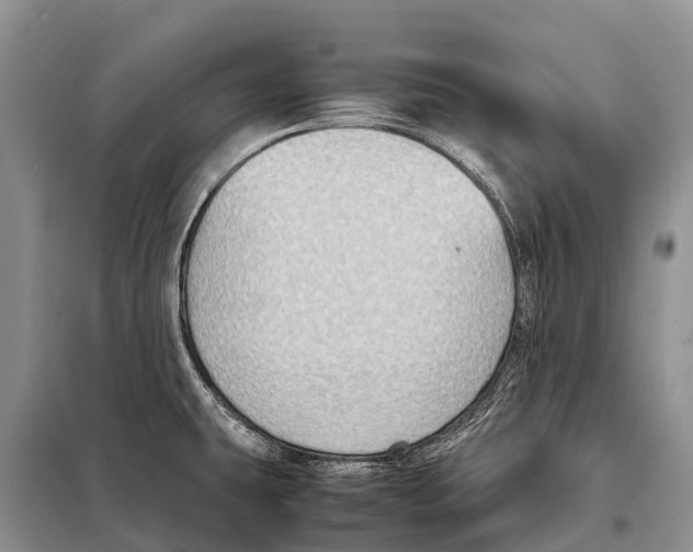 X0000097901431200804111033