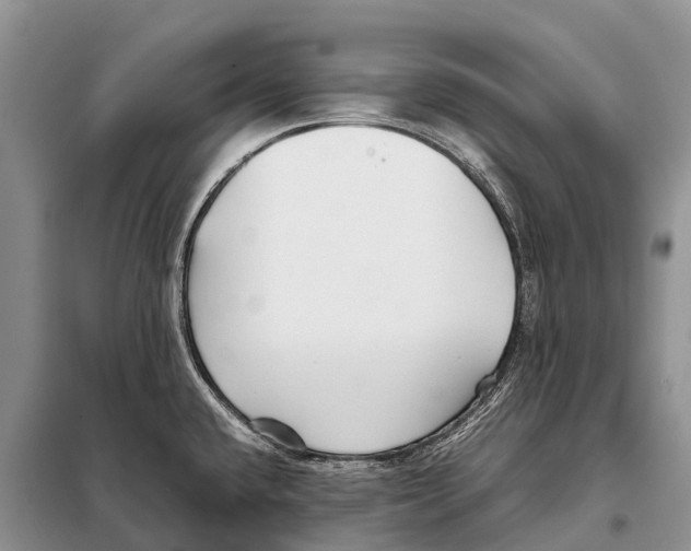 X0000097901432200804111033