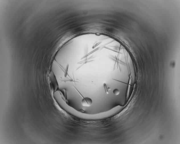 X0000097901433200804111033