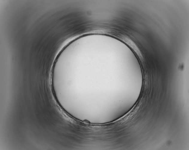 X0000097901436200804111033