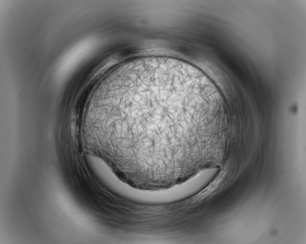 X0000097901438200804111033