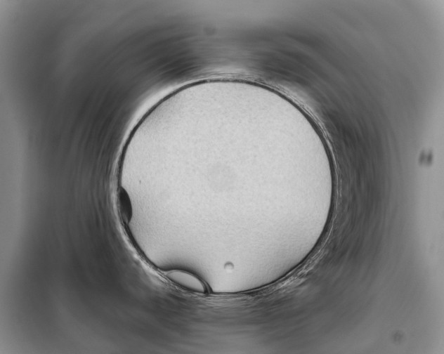 X0000097901440200804111033