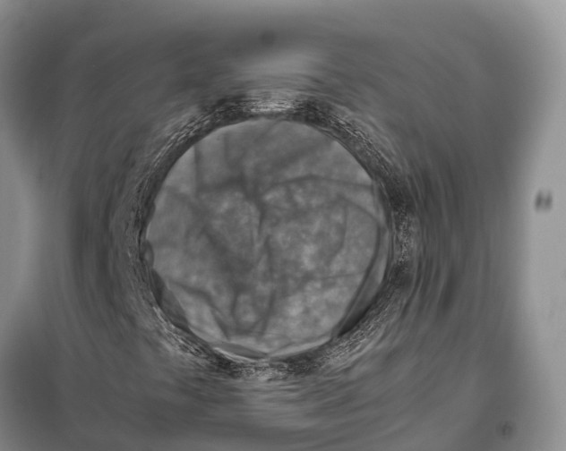 X0000097901441200804111032