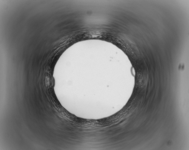 X0000097901442200804111032