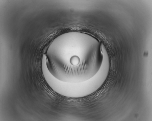 X0000097901444200804111032