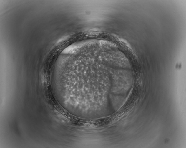 X0000097901445200804111032