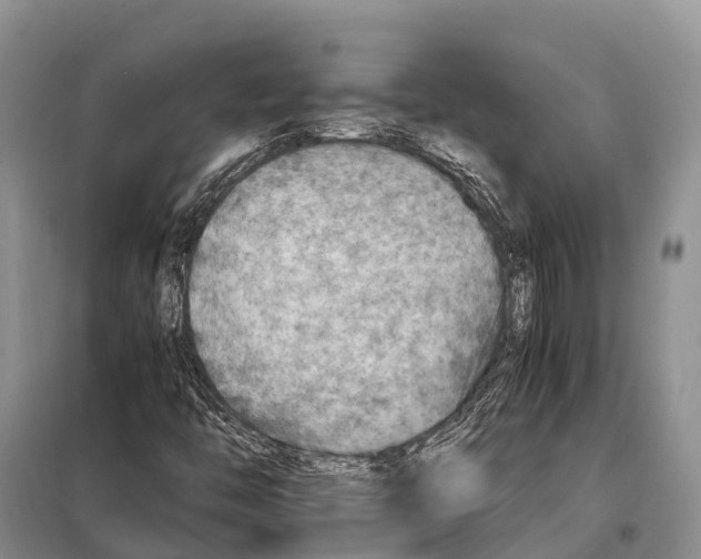 X0000097901446200804111032